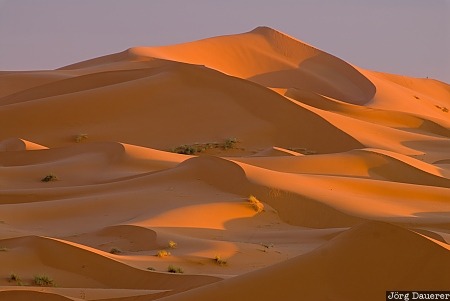 Adrouine, clouds, Erg Chebbi, evening light, Meknès-Tafilalet, Merzouga, Morocco, Marokko