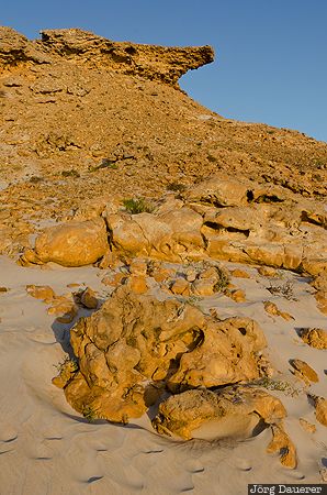 Rocks in the Desert Al Wusta, blue sky, desert, evening light, Al Khaluf, Oman, OMN
