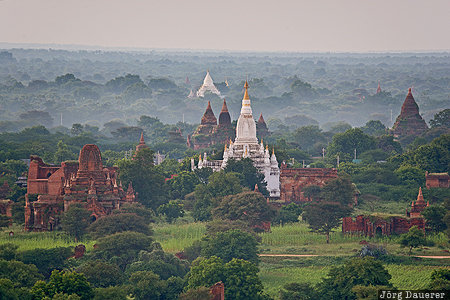 Mandalay-Region, MMR, Myanmar, Myene, Bagan, fog, green