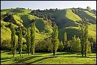 Green Landscape