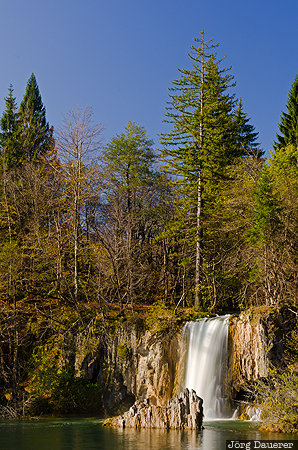 Bigina Poljana, Croatia, HRV, Licko-Senjska, Plitvicka Jezera, blue sky, forest, Plitvice Lakes