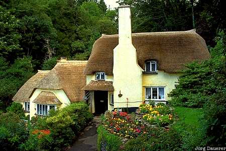 Selworthy, Somerset, England, UK, GB, house, reed, United Kingdom, Großbritannien, Vereinigtes Königreich, Grossbritannien, Vereinigtes Koenigreich