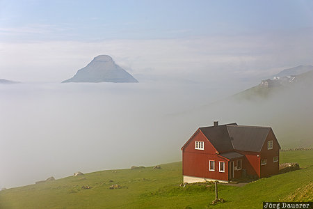 Velbastadur Fog Faroe Islands, FRO, Velbastadur, Velbastaður, fog, house, Koltur, Steymoy, Färöer-Inseln, Faeroeer-Inseln
