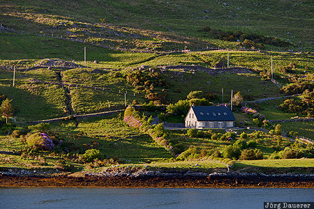 Republic of Ireland, IRL, evening light, fjord, Galway, green, house, Killary Harbour, Ireland, Irland