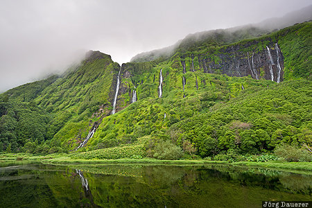 Azores, Outeiro, Portugal, PRT, flores, fog, green, Poço Ribeira do Ferreiro