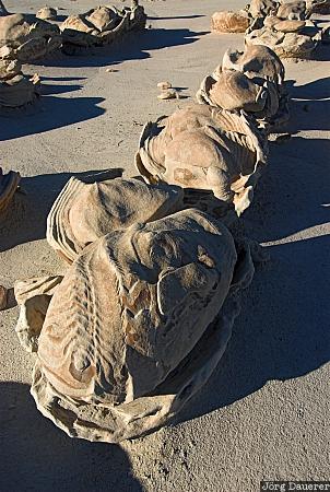 USA, New Mexico, Bisti Wilderness, Bisti Badlands, Bisti-De-Na-Zin Wilderness, blue sky, clay, United States, Vereinigte Staten, Neu Mexiko, NM