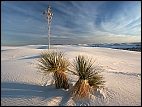 White Sands
