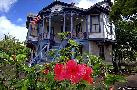 Galveston, United States, Texas, historic house, Victorian, flower, red flower