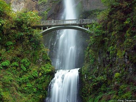 Multnomah Falls Multnomah Falls, bridge, Corbett, flowing water, green, Oregon, Saint Cloud, United States, water, waterfall