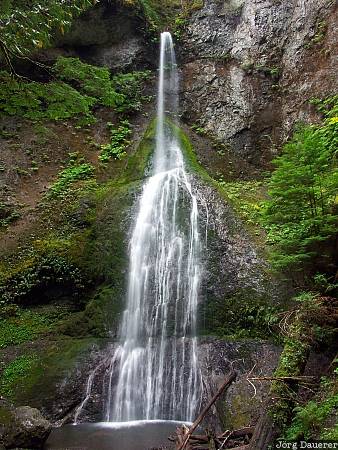 Marymere Falls, flowing water, Olympic National Park, Piedmont, Port Angeles, United States, Washington, water, waterfall