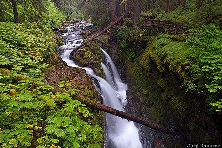 Sol Duc Falls Olympic Hot Springs, Port Angeles, United States, USA, Washington, green, Olympic National Park, Vereinigte Staten, WA