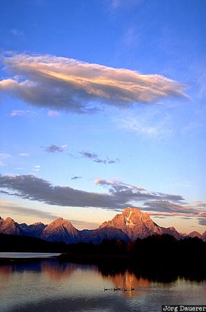 Oxbow Bend Mount Moran, Oxbow Bend, morning, Fall color, ducks, Grand Teton National Park, Wyoming, United States, USA, Vereinigte Staten, WY