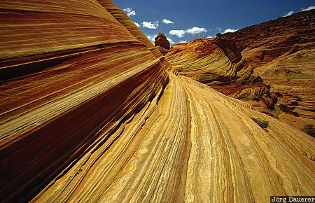 Sandstone, rock, the wave, coyote buttes, Arizona, United States, pattern, USA, Vereinigte Staten, AZ