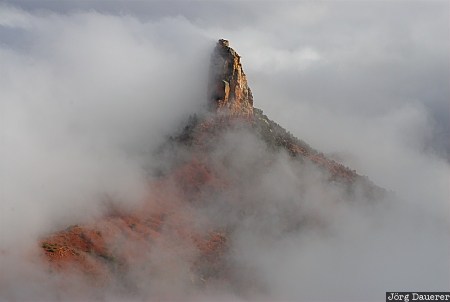 United States, Arizona, North Rim, fog, Grand Canyon, mist, national park, USA, Vereinigte Staten, AZ