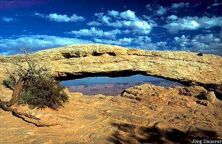 Canyonlands National Park, Island in the Sky, Mesa Arch, Utah, United States, UT, USA, Vereinigte Staten