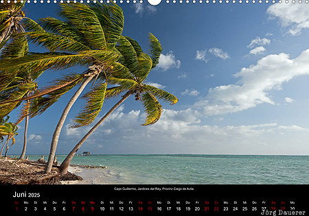 Cayo Guillermo, Jardines del Rey, province Ciego de Avila, cuba, Kuba, calendar, June, Ciego de Avila