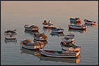 Fishing Boats