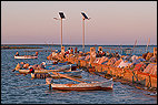 Evening Light