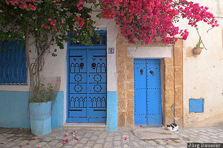 Gouvernorat Bizerta, Bizerta, Bizerte, blue, door, facade, Medina, Tunisia