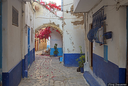 Gouvernorat Bizerta, alley, arch, Bizerta, Bizerte, blue, Medina, Tunisia